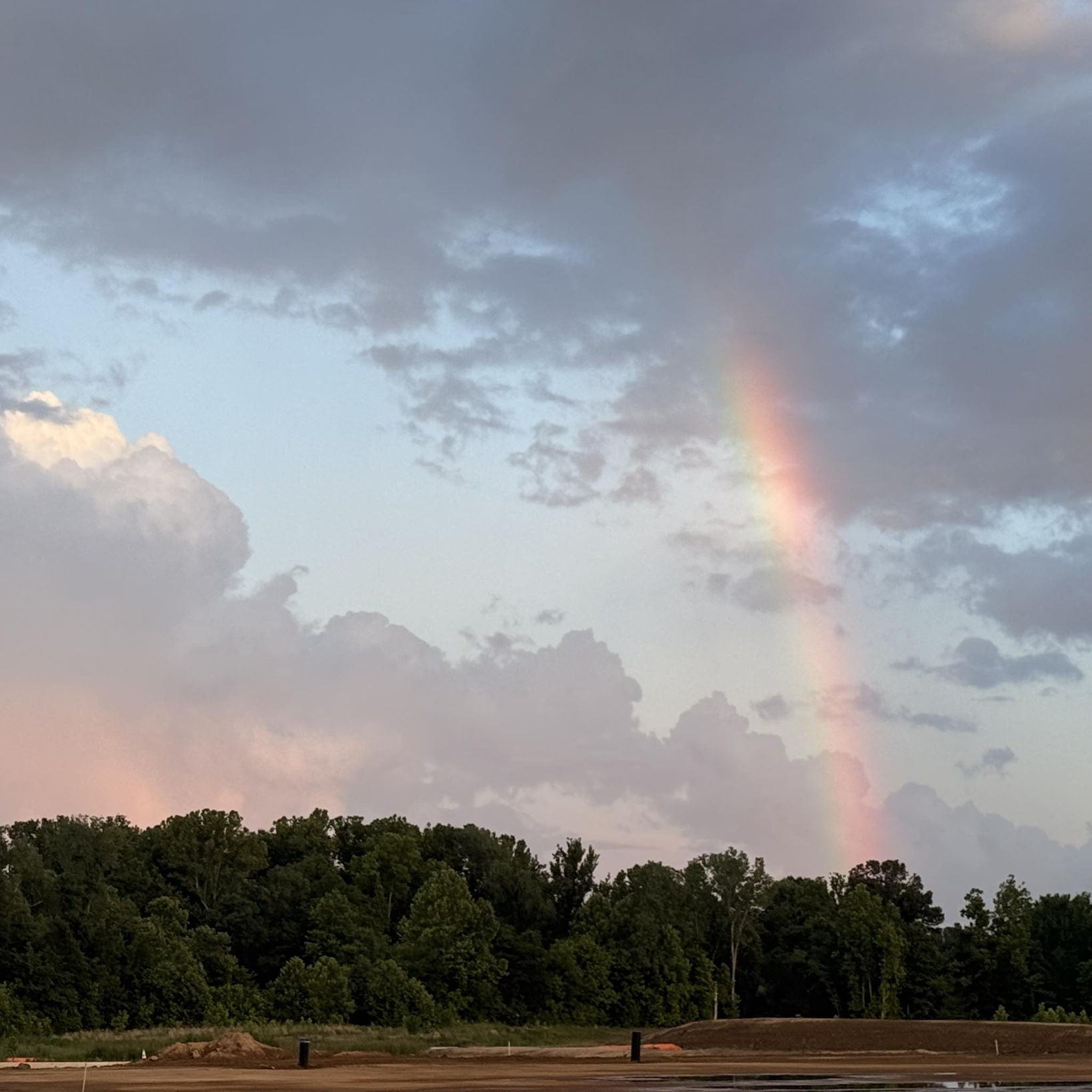 Rainbow arc over a treeline against a cloudy sky at sunset.